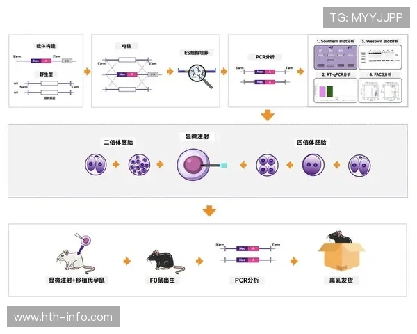 世界体育伦理学论坛召开，基因编辑技术应用受争议